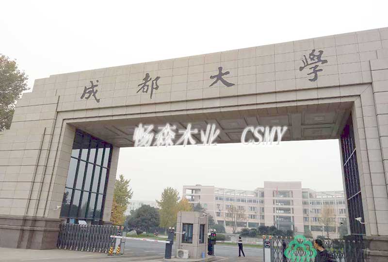 成都大學體育館案例